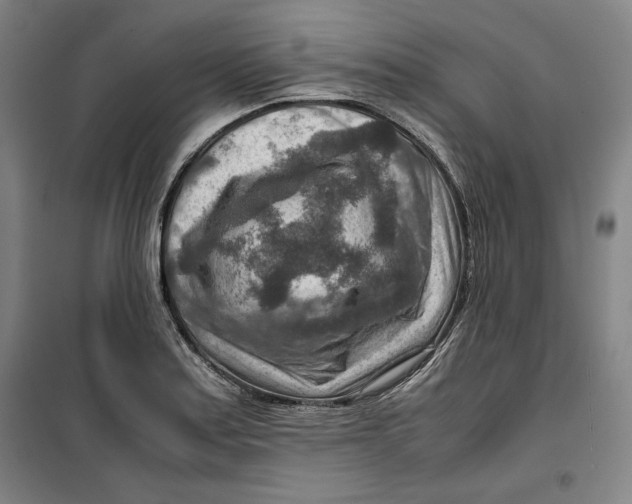 X0000099531179200806061424