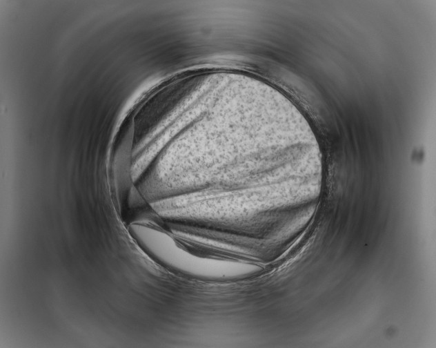 X0000099531180200806061424