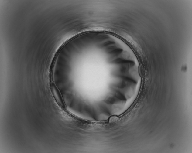 X0000099531181200806061424