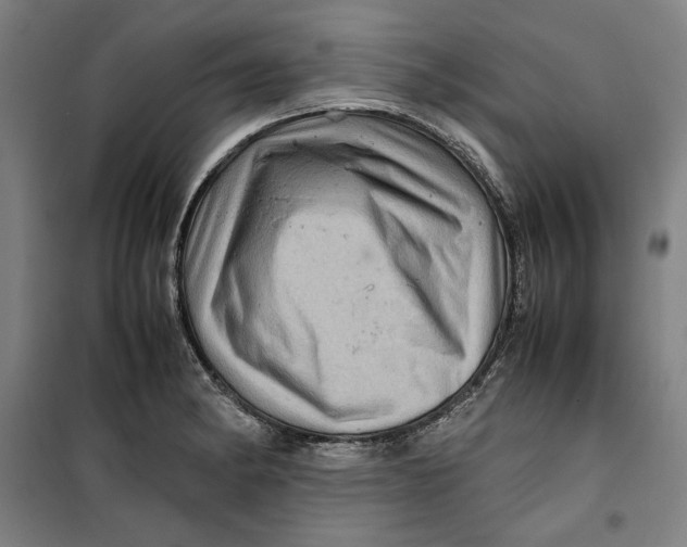 X0000099531182200806061424