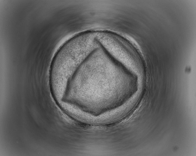 X0000099531183200806061424