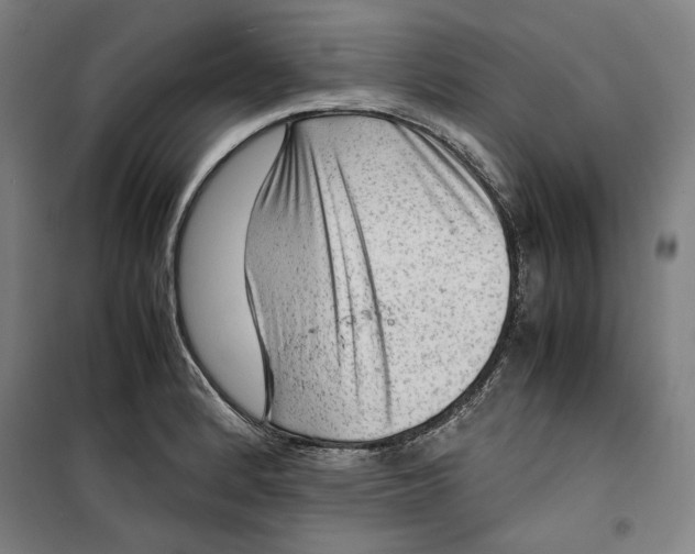 X0000099531184200806061424