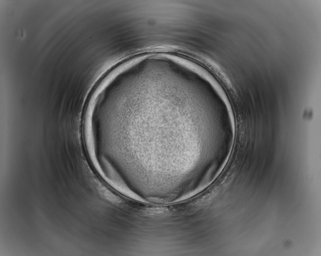 X0000099531186200806061424