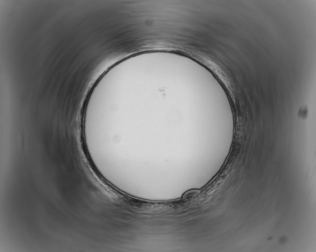 X0000099531187200806061424