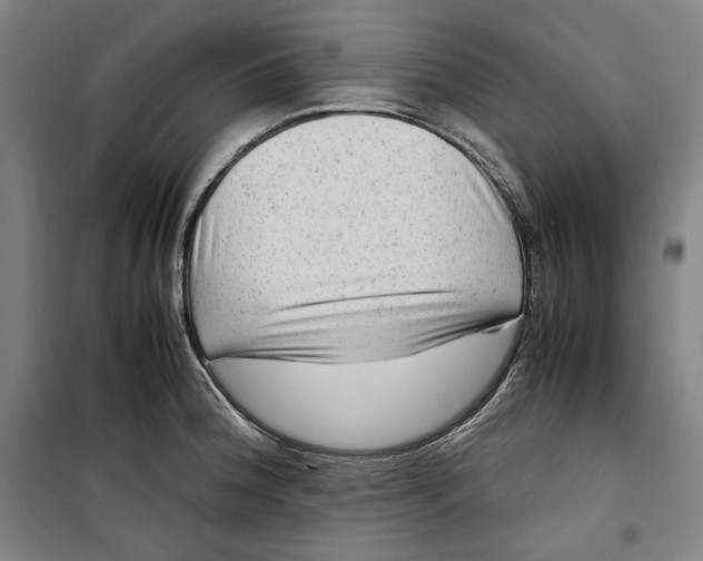 X0000099531188200806061424