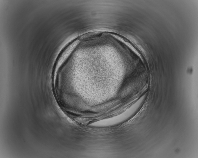 X0000099531189200806061424