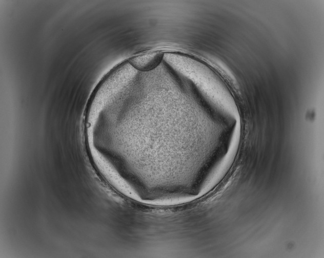 X0000099531190200806061424