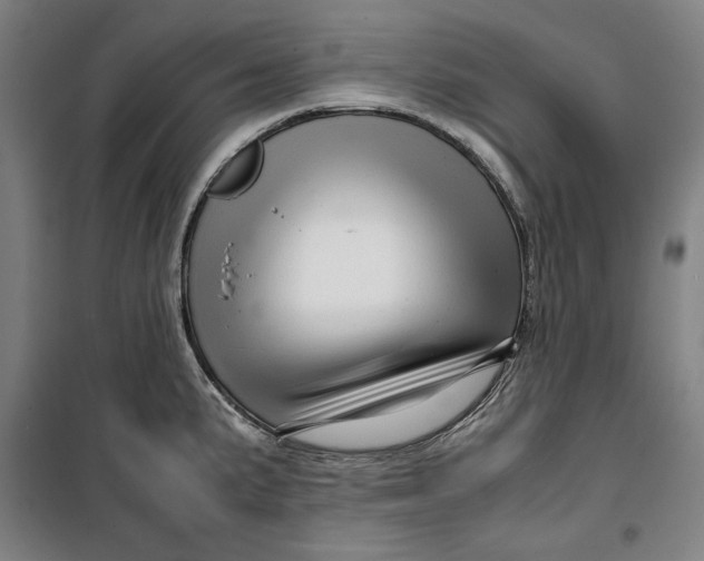 X0000099531191200806061424