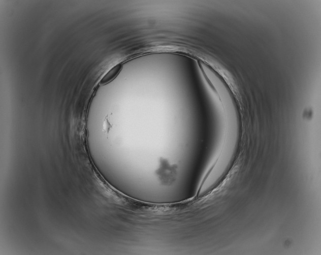 X0000099531193200806061424