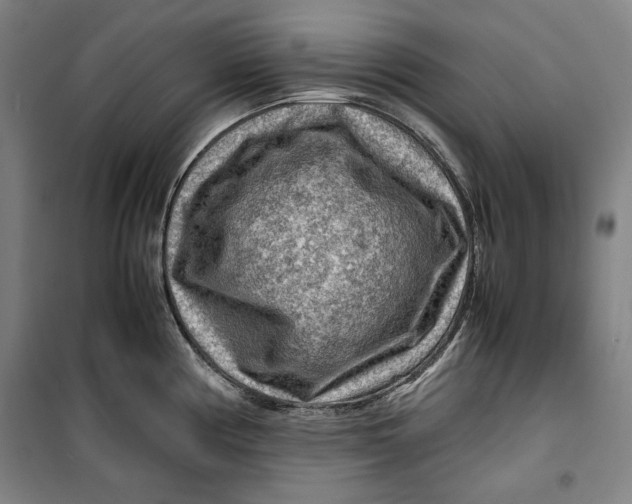 X0000099531194200806061424