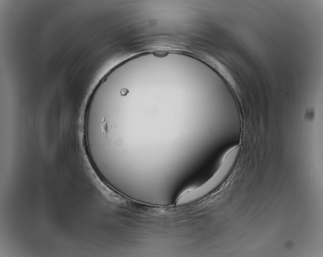 X0000099531195200806061424