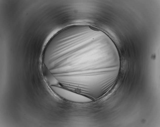 X0000099531196200806061424