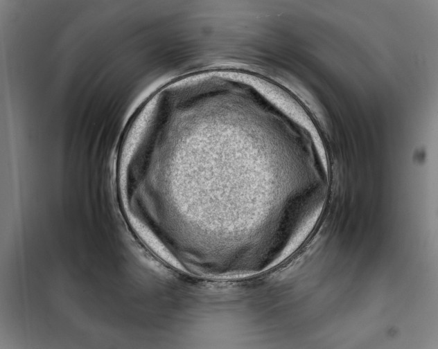 X0000099531198200806061424