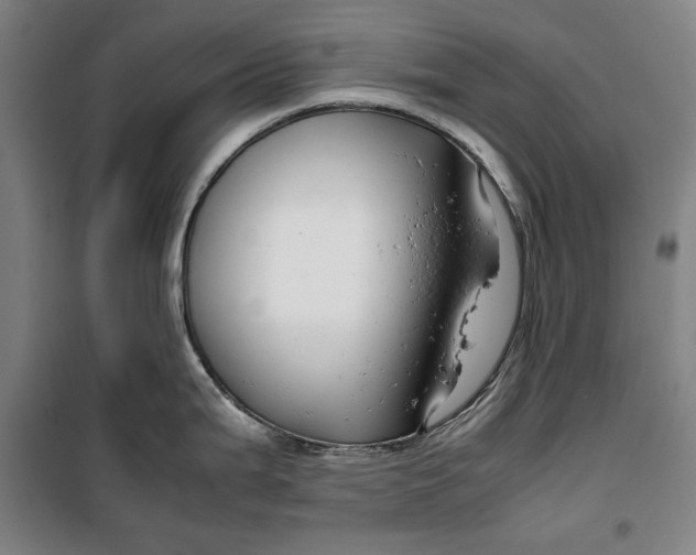 X0000099531199200806061424