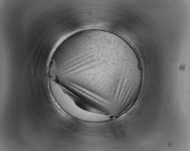 X0000099531200200806061424