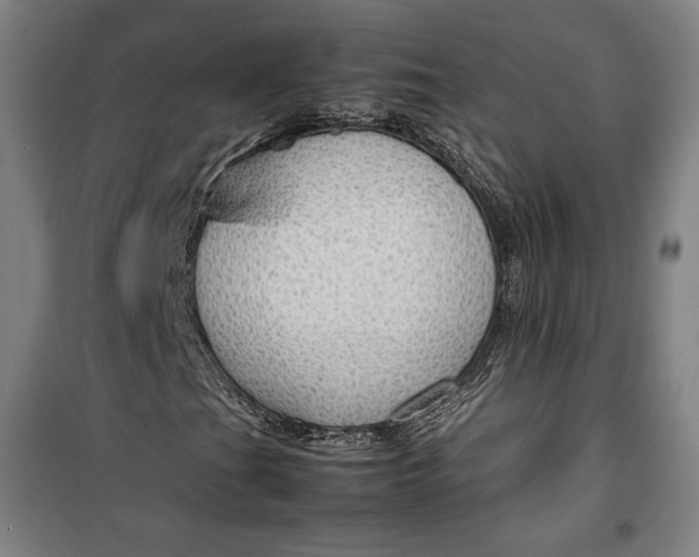 X0000099531201200806061423