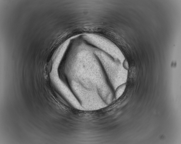 X0000099531202200806061423