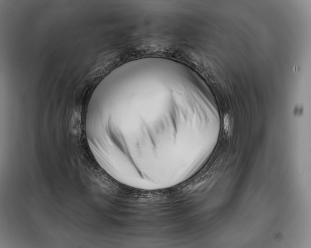 X0000099531203200806061423