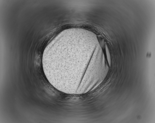 X0000099531204200806061424