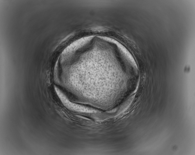 X0000099531205200806061424