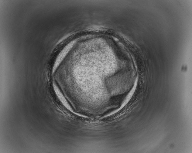 X0000099531206200806061424