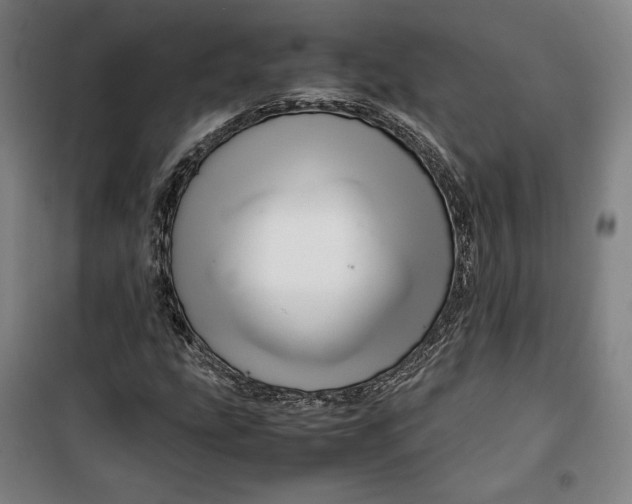 X0000099531207200806061424