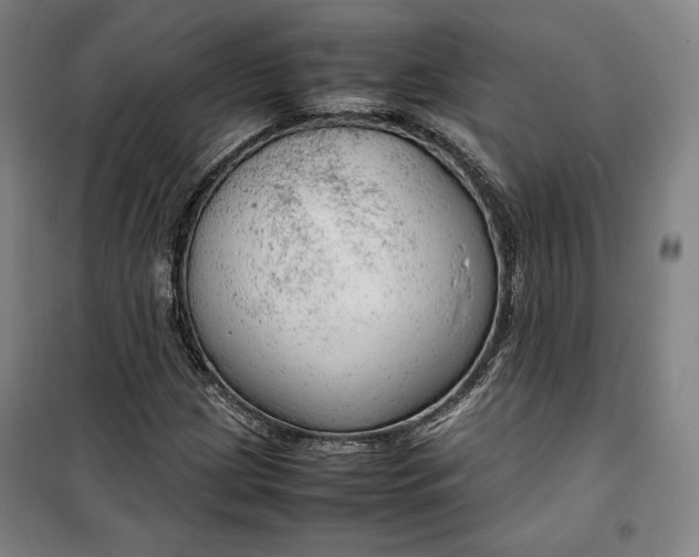 X0000099531209200806061424