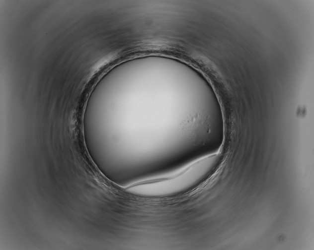 X0000099531210200806061424