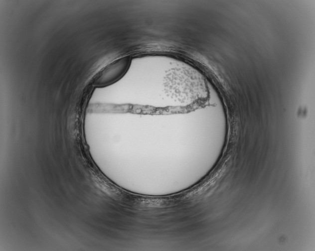 X0000099531211200806061424