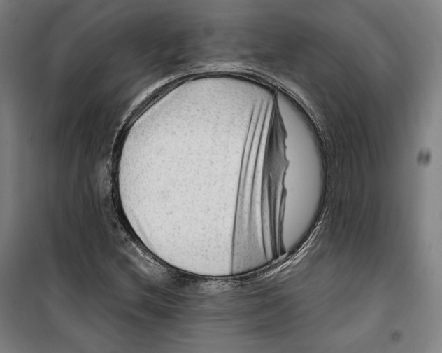 X0000099531212200806061424