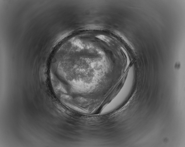 X0000099531213200806061424