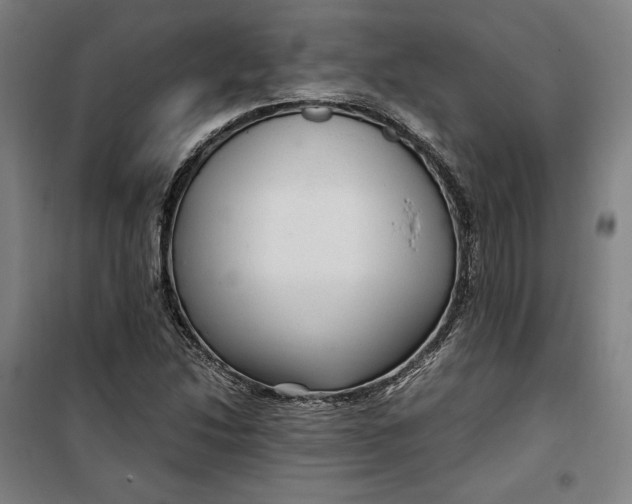 X0000099531214200806061424