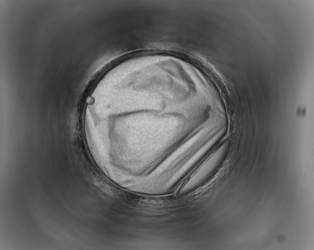 X0000099531215200806061424