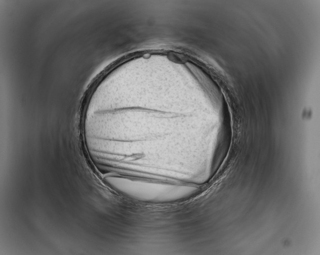 X0000099531216200806061424