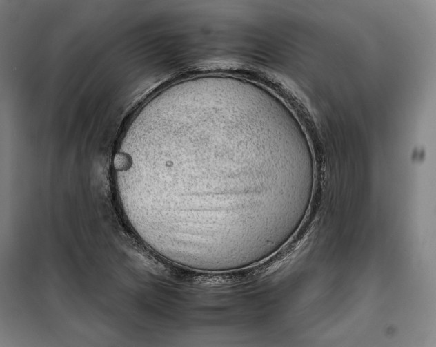 X0000099531217200806061424