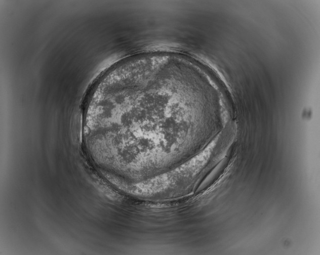 X0000099531219200806061424