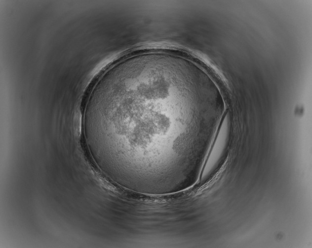 X0000099531221200806061424