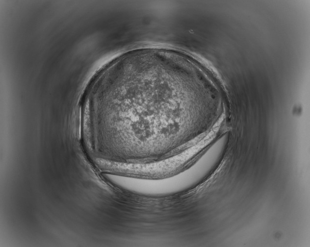 X0000099531223200806061424