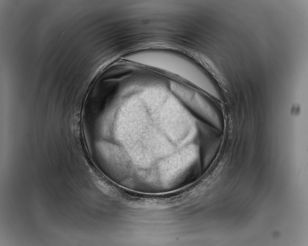 X0000099531225200806061424