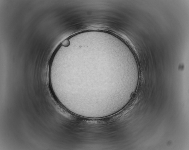 X0000099531227200806061424