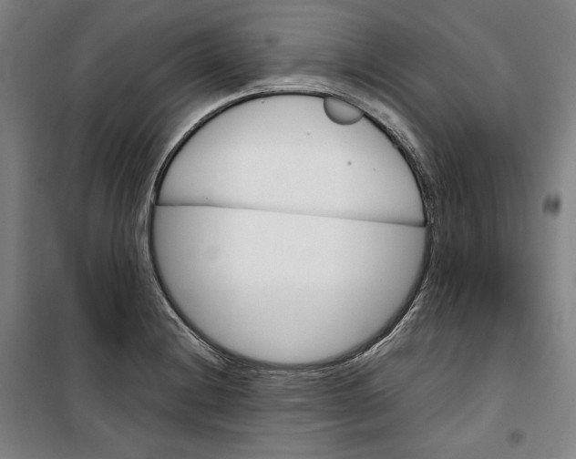 X0000099531228200806061424