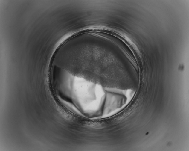 X0000099531229200806061424