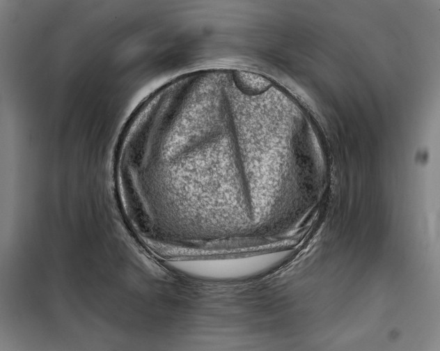 X0000099531230200806061424