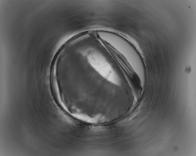 X0000099531231200806061424