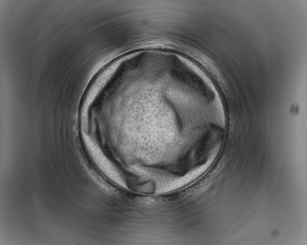 X0000099531234200806061424