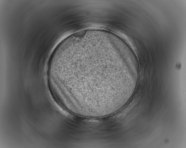 X0000099531235200806061424