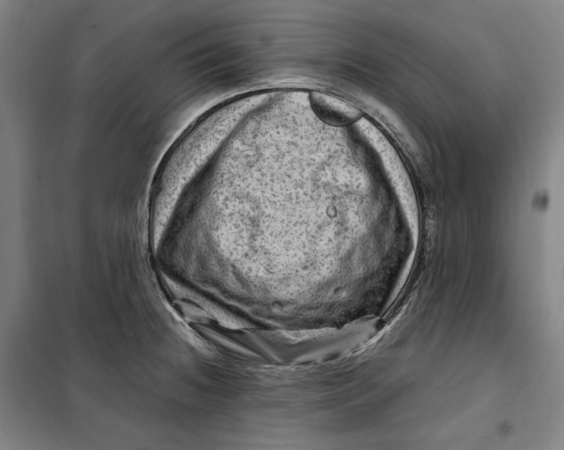 X0000099531236200806061424