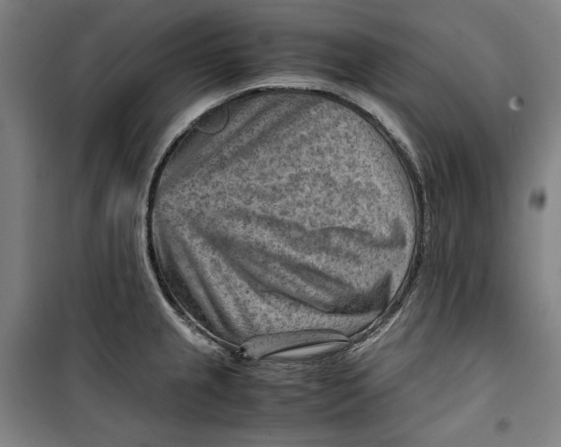 X0000099531237200806061424