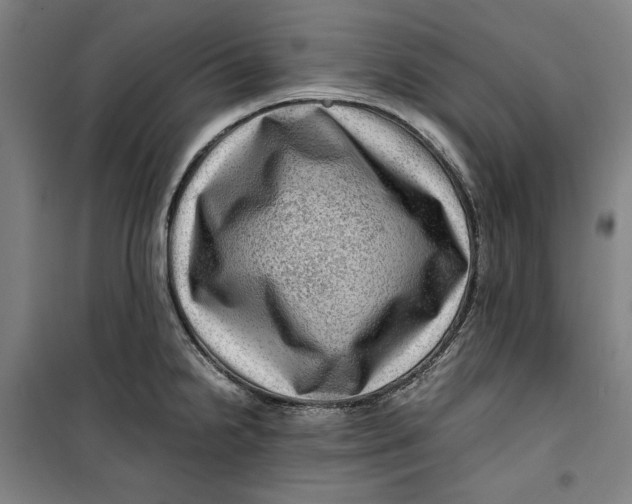 X0000099531238200806061424