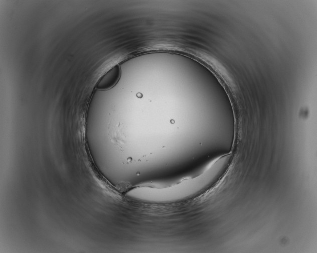 X0000099531241200806061424